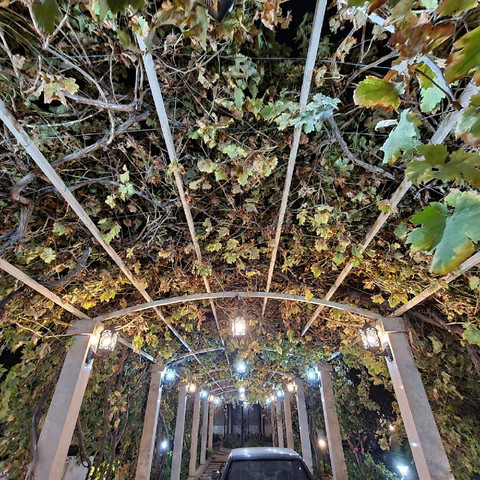 نمونه کار مجید محمدی - 8