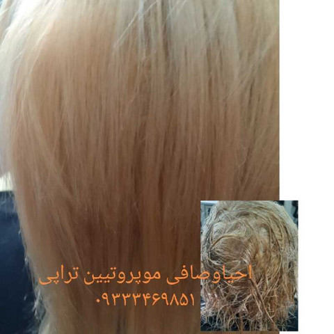 نمونه کار فاطمه ارمند - 7