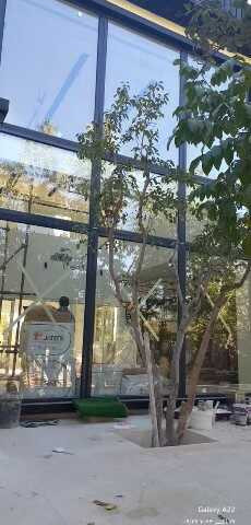 نمونه کار حسی کشن روستا - 7
