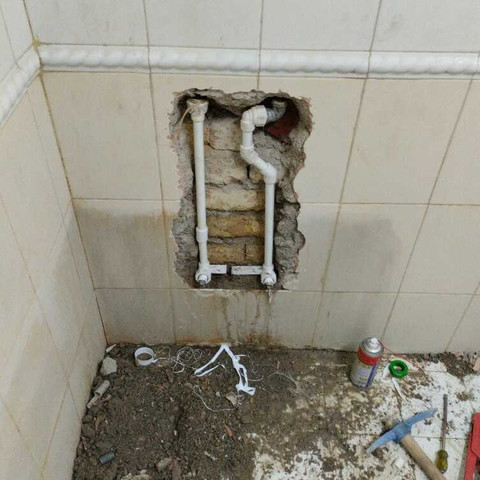 نمونه کار موسی گلی - 2