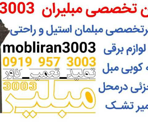 نمونه کار کلینیک تخصصی مبل - 9