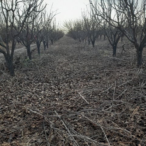 نمونه کار مسعود محمدی - 5