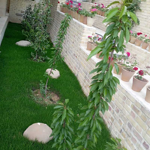 نمونه کار علی سرمدی - 1