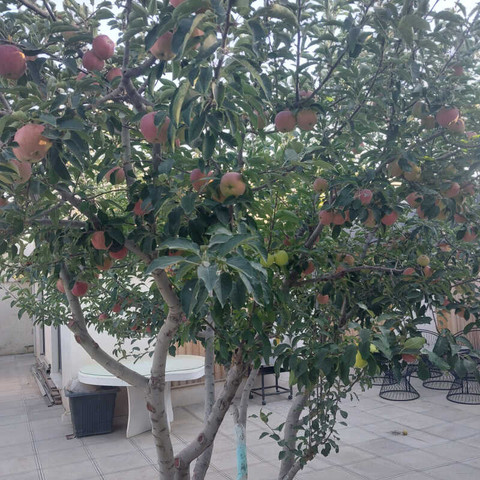 نمونه کار جاوید حسن زاده - 1