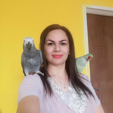 نمونه کار لیلا یوسفی - 2