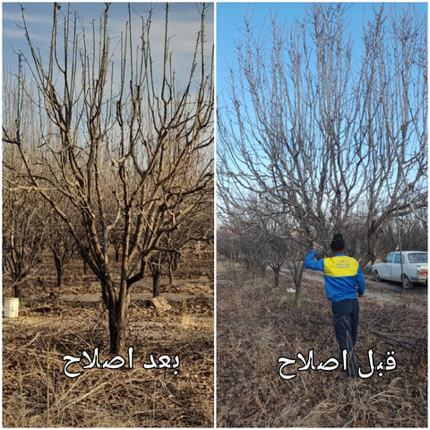 نمونه کار مسعود محمدی - 7