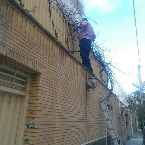 نمونه کار رحمان پور محمد - 2
