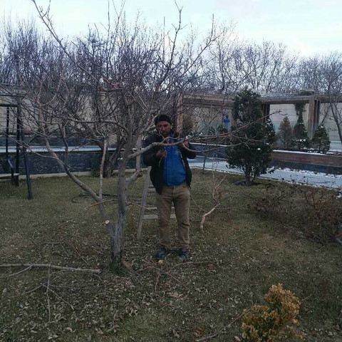 نمونه کار رحمان پور محمد - 10
