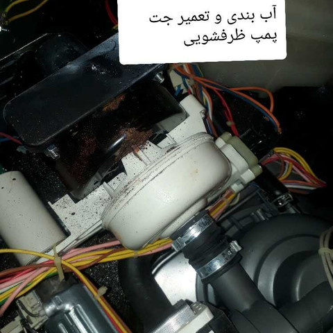 نمونه کار محمدرضا پهلوان - 2