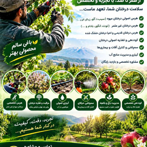 نمونه کار مسعود محمدی - 10