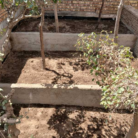 نمونه کار علی سرمدی - 2