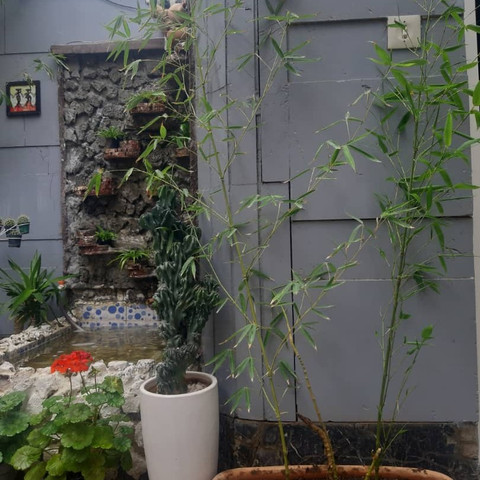 نمونه کار جواد نوروز - 1