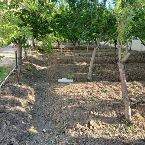 نمونه کار علی سرمدی - 6