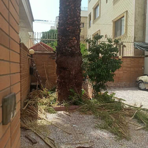 نمونه کار حسین فلاحی - 2