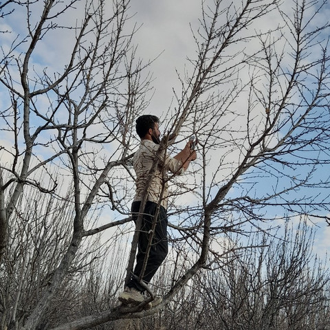 نمونه کار مسعود محمدی - 4