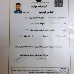 resume image