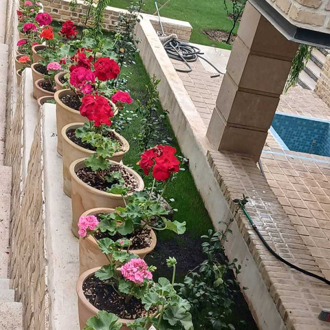 نمونه کار علی سرمدی - 4