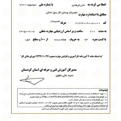 نمونه کار مانی فرهادی - 3