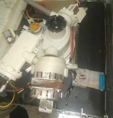 نمونه کار محسن کریمی - 3