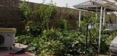 نمونه کار محسن سیف الهی - 2