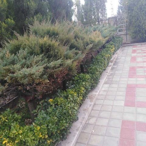نمونه کار مصطفی اسلامی - 5