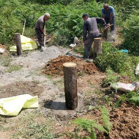 نمونه کار مبل و صندلی سازی جاوید - 6