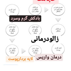 resume image