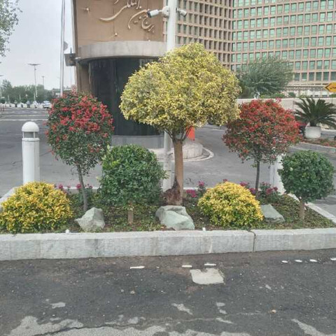 نمونه کار رضا فریمانه - 1
