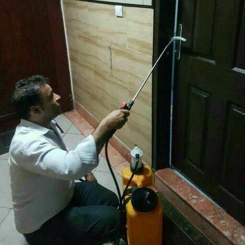 نمونه کار محمد قائم - 1
