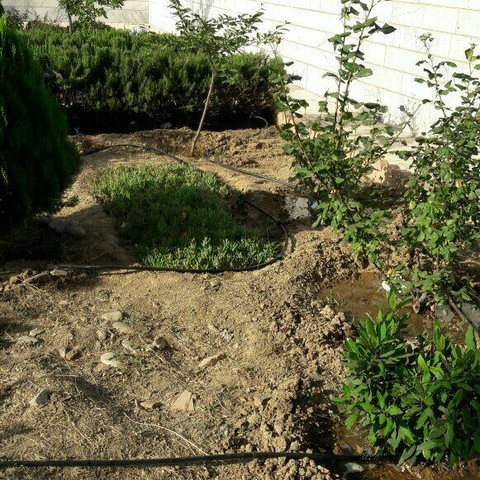 نمونه کار رسول اسمعیل نژاد - 8
