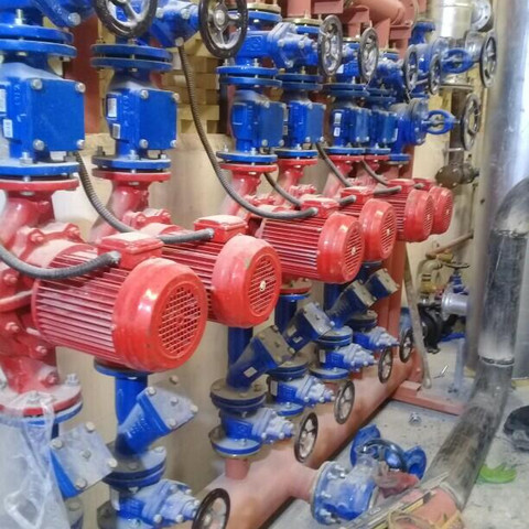 نمونه کار شاهرخ محبوبی خیابانی - 5