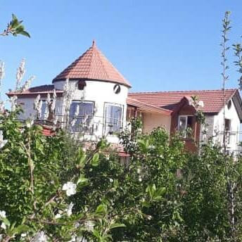 نمونه کار یحیی مورموگویی - 8