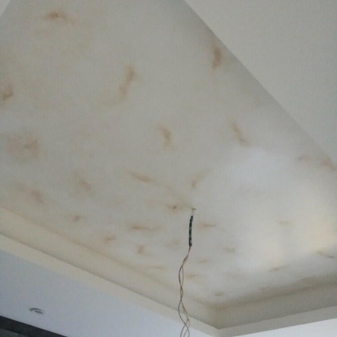 نمونه کار حسین سلیمانی - 1