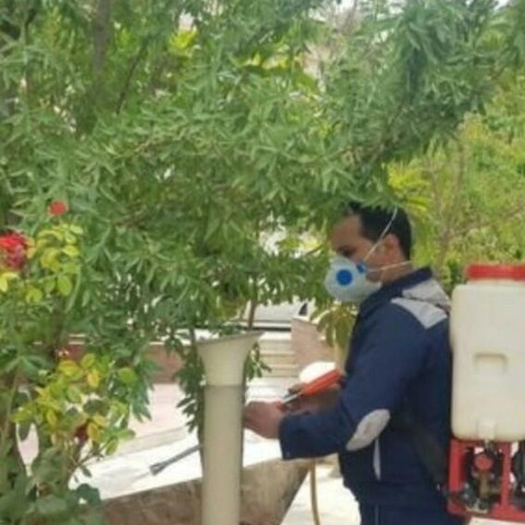 نمونه کار هادی ترکی زاده - 3