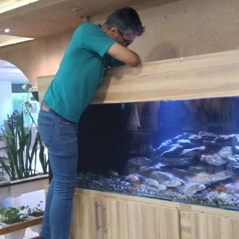 نمونه کار علی اصغر چقایی - 3