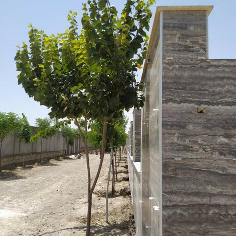 نمونه کار محسن محسن اکبری - 8