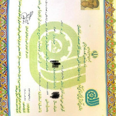 resume image