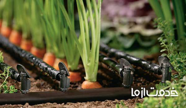 هزینه راه اندازی سیستم آبیاری قطره ای برای هر هکتار