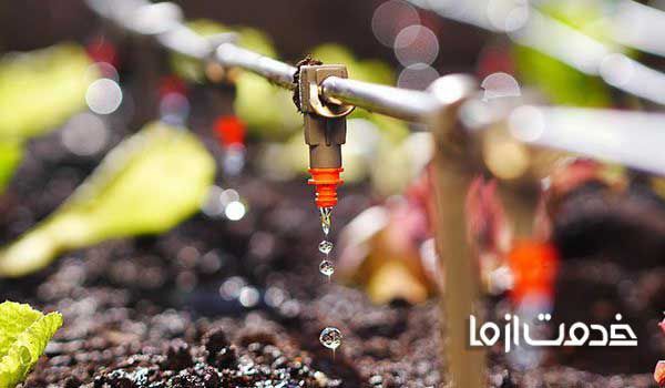 آبیاری قطره ای درختان میوه