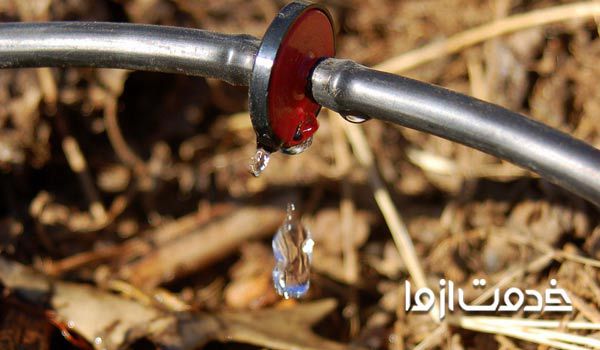 ابیاری قطره ای باغچه منزل