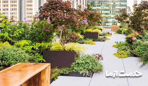 تصویر: باغ بام