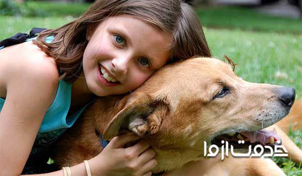 تربیت سگ برای مدفوع و ادرار در محل تدارک دیده شده