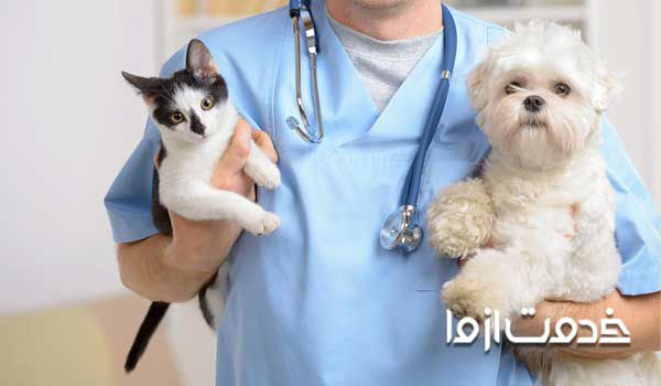 توجه به حیوانات خانگی در هنگام نگهداری از آن‌ها