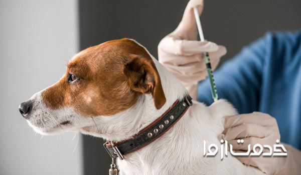 هزینه واکسن سگ