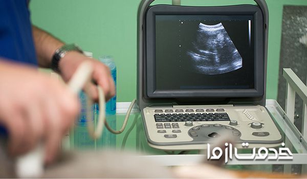 سونوگرافی حیوانات