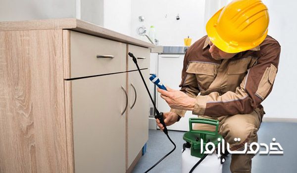 هزینه سمپاشی ساس