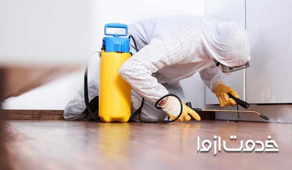 سمپاشی رستوران (Restaurant spraying)