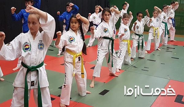 هزینه کلاس تکواندو خصوصی و آنلاین