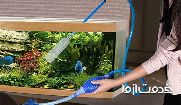 مراحل و روش سرویس و نگهداری آکواریوم در خانه