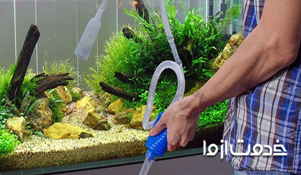 ضرورت سرویس و نگهداری آکواریوم در خانه
